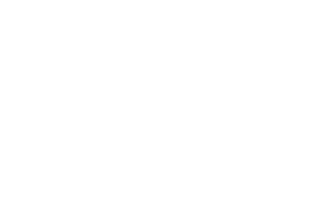 Horizon Capital Group